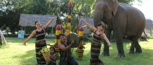 Du lịch bản Đôn hấp dẫn du khách với nhiều hoạt động thú vị, nhất là cưỡi voi