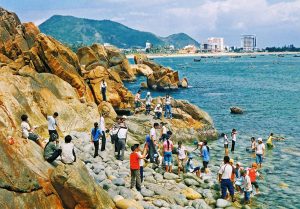 Những điểm đến hấp dẫn trên biển Bình Định