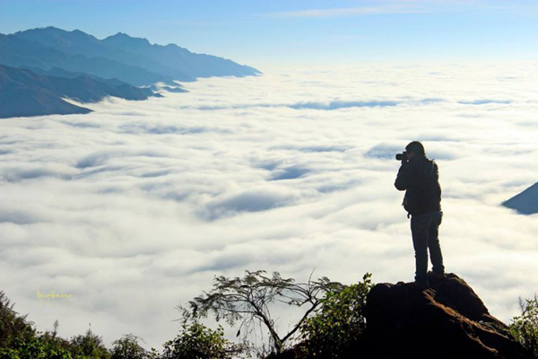 Biển mây bồng bềnh ở đỉnh Pha Luông