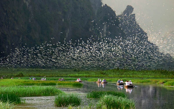 Vân Long là khu bảo tồn thiên nhiên ngập nước ở vùng bắc Bộ với phong cảnh thiên nhiên thơ mộng mà hoang sơ