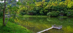 Phong cảnh thiên nhiên hữu tình ở vườn quốc gia Cúc Phương